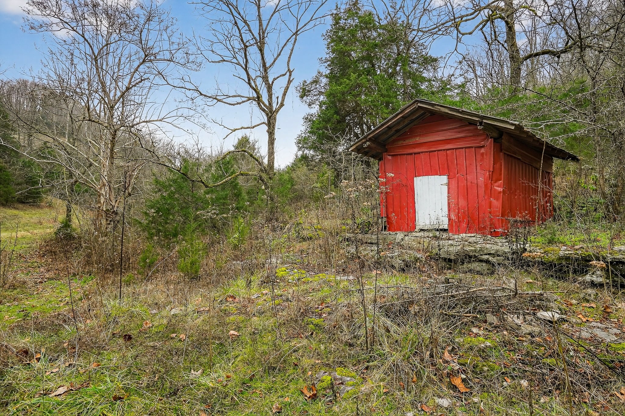 2578 Pea Ridge Road Liberty, TN 37095 - Photo 36 of 48 a front view of a house with yard and trees