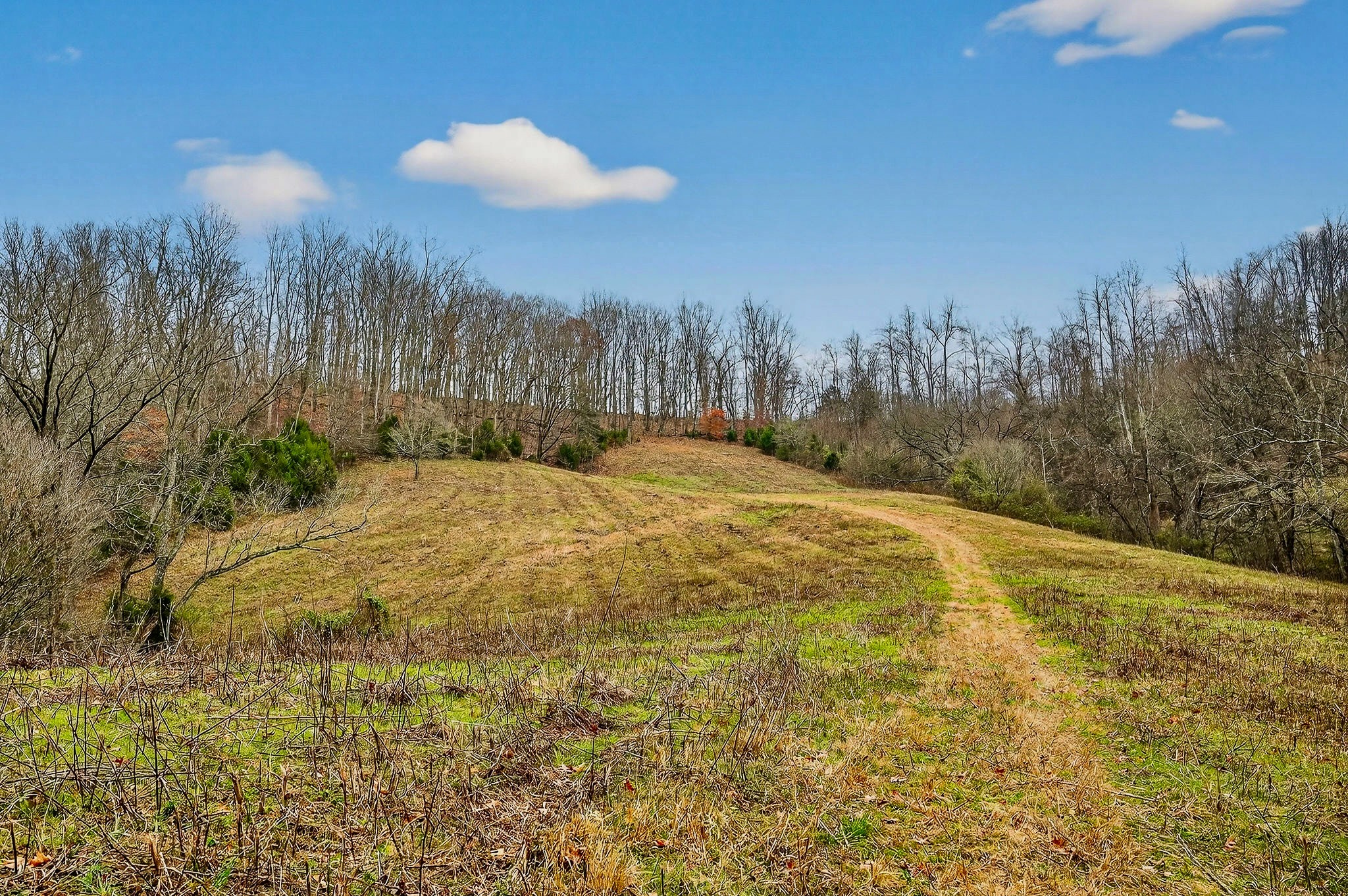 2578 Pea Ridge Road Liberty, TN 37095 - Photo 37 of 48