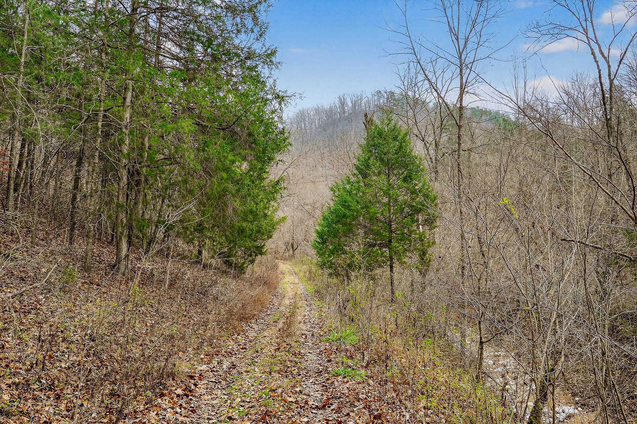 2578 Pea Ridge Road Liberty, TN 37095 - Photo 39 of 48 a backyard of a house with lots of green space