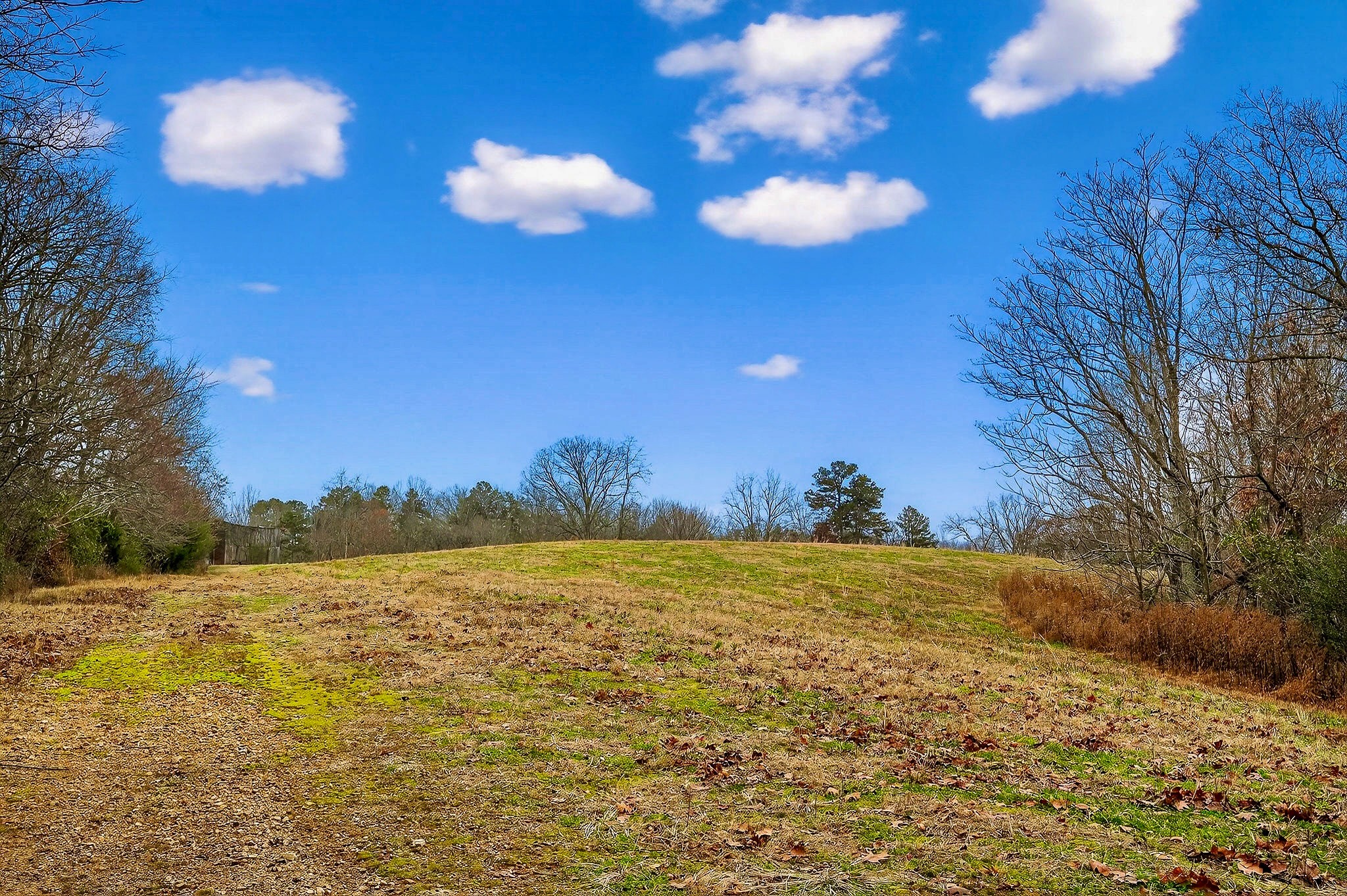 2578 Pea Ridge Road Liberty, TN 37095 - Photo 40 of 48 a view of an ocean and a yard