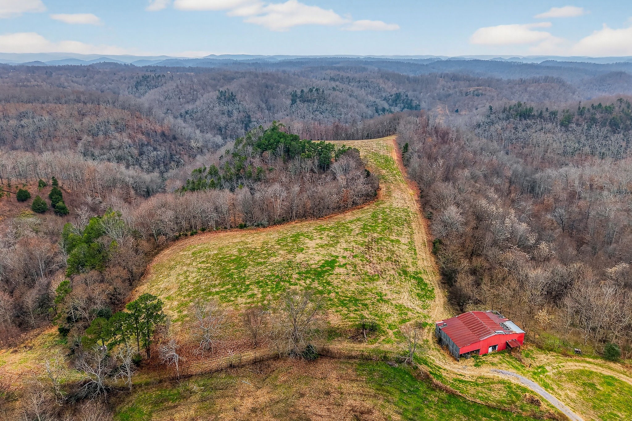 2578 Pea Ridge Road Liberty, TN 37095 - Photo 7 of 48 a view of outdoor space and yard
