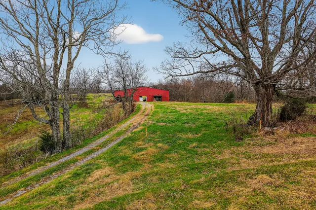 a view of a yard with a tree
