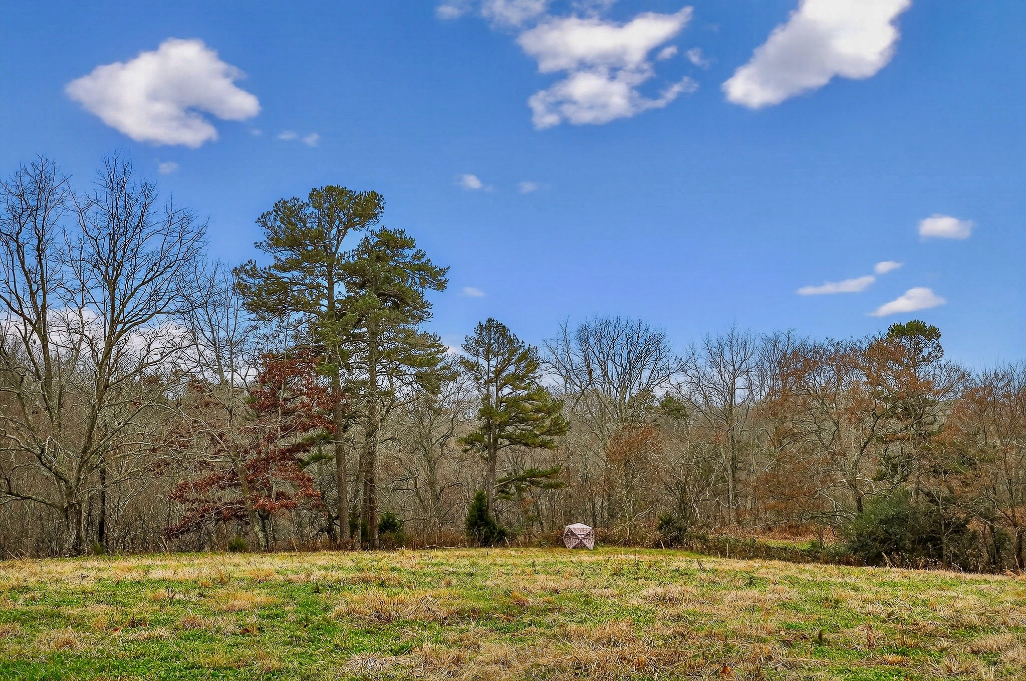 2578 Pea Ridge Road Liberty, TN 37095 - Photo 10 of 48 a view of open space with green space
