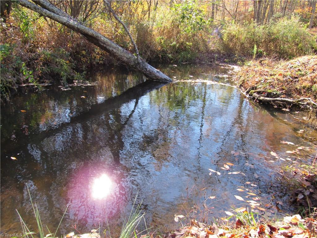 286 Pat Irwin Road Pilot Mountain, NC 27041 - Photo 28 of 29 Gallery Image 28