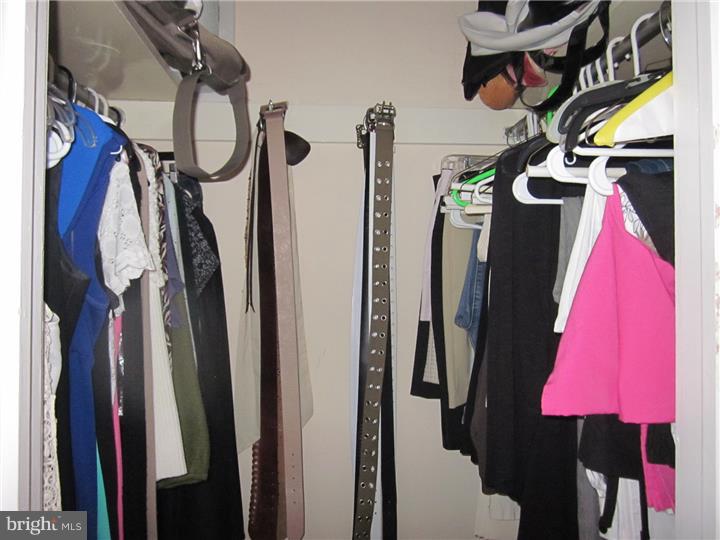 592 Rector Street Philadelphia, PA 19128 - Photo 21 of 25 Walk-in Closet