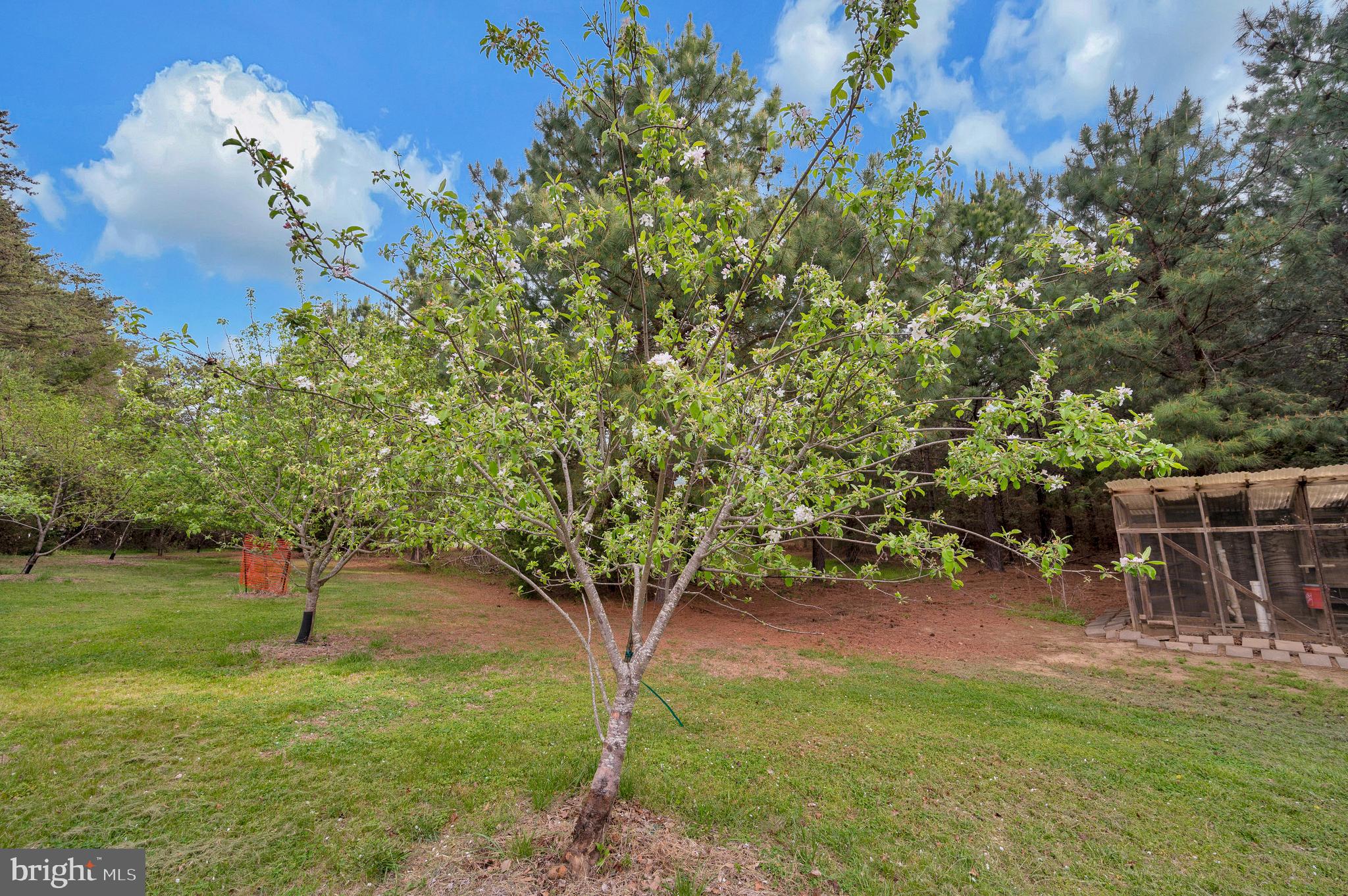 11326 Wheeler Road Spotsylvania, VA 22551 - Photo 45 of 56