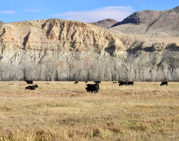 $12,950,000 | 24950 Highway 93, Challis, ID 83226