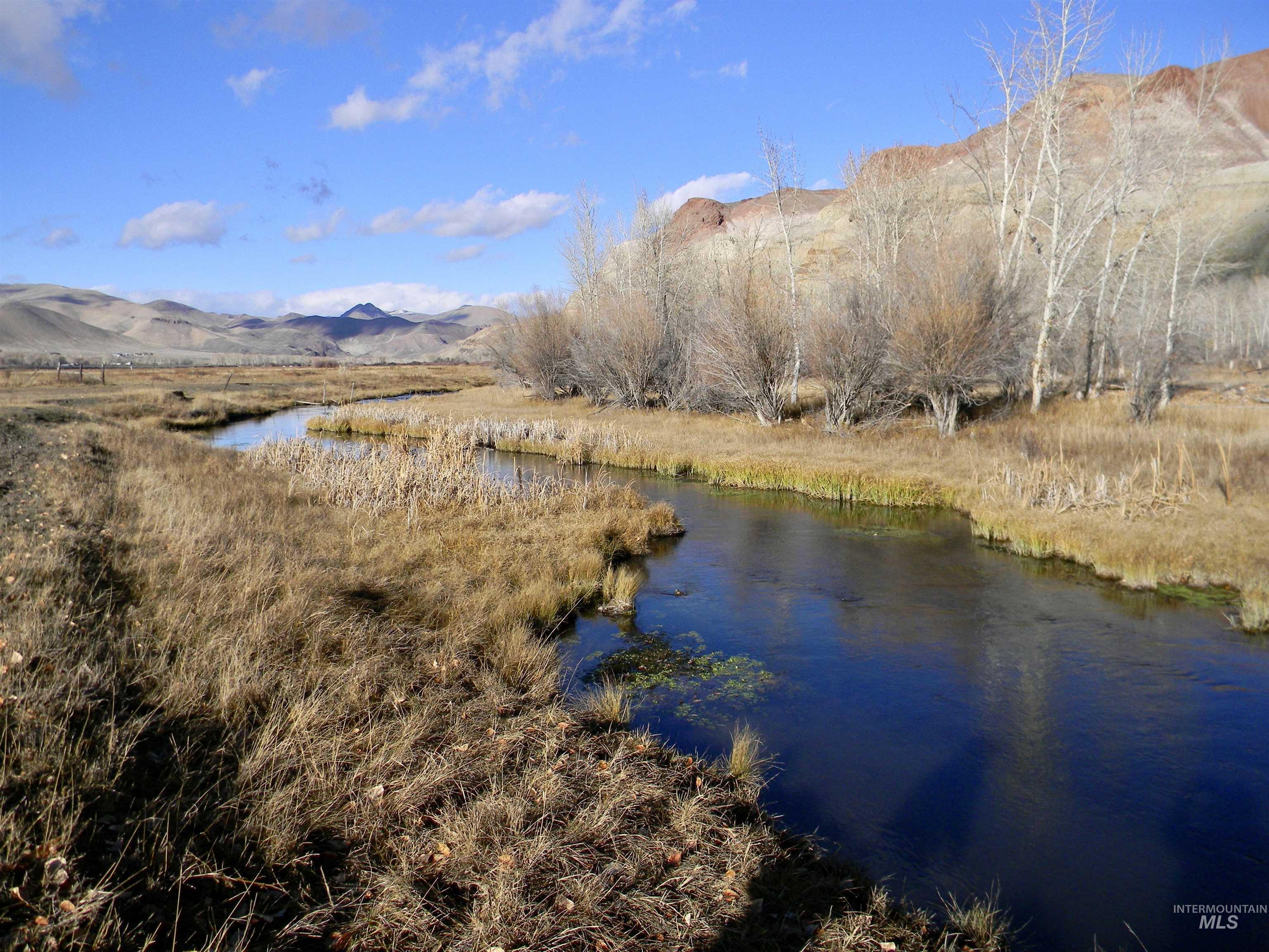24950 Highway 93 Challis, ID 83226 - Photo 12 of 15 Water view with a mountain backdrop