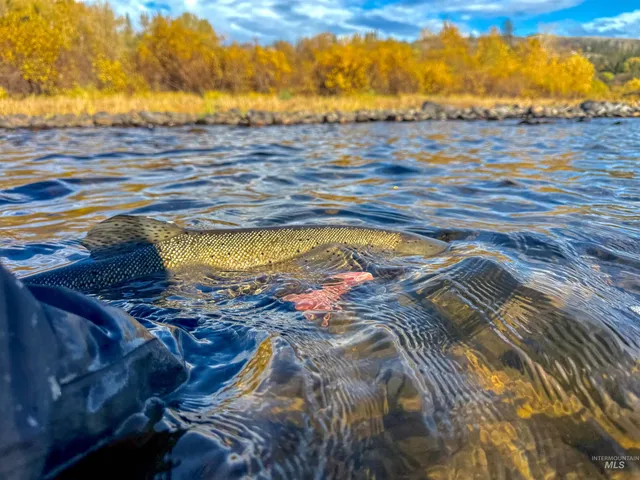 $12,950,000 | 24950 Highway 93, Challis, ID 83226