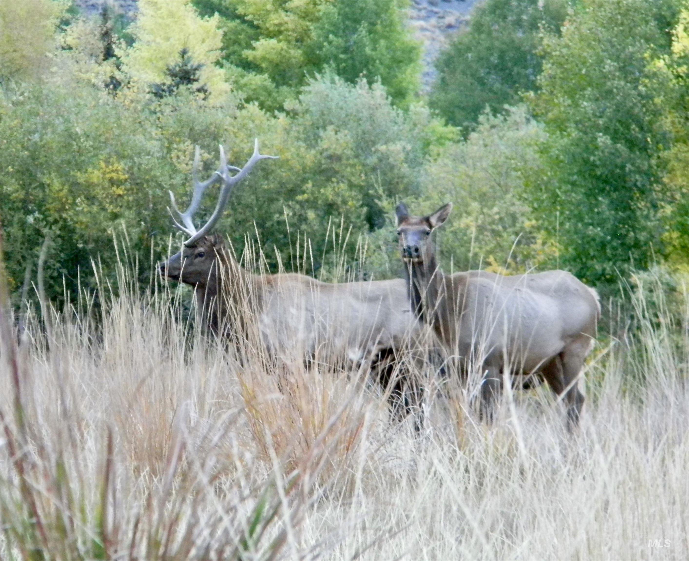 24950 Highway 93 Challis, ID 83226 - Photo 15 of 15 Exterior view