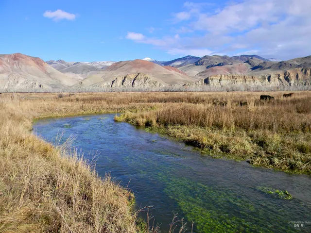 $12,950,000 | 24950 Highway 93, Challis, ID 83226