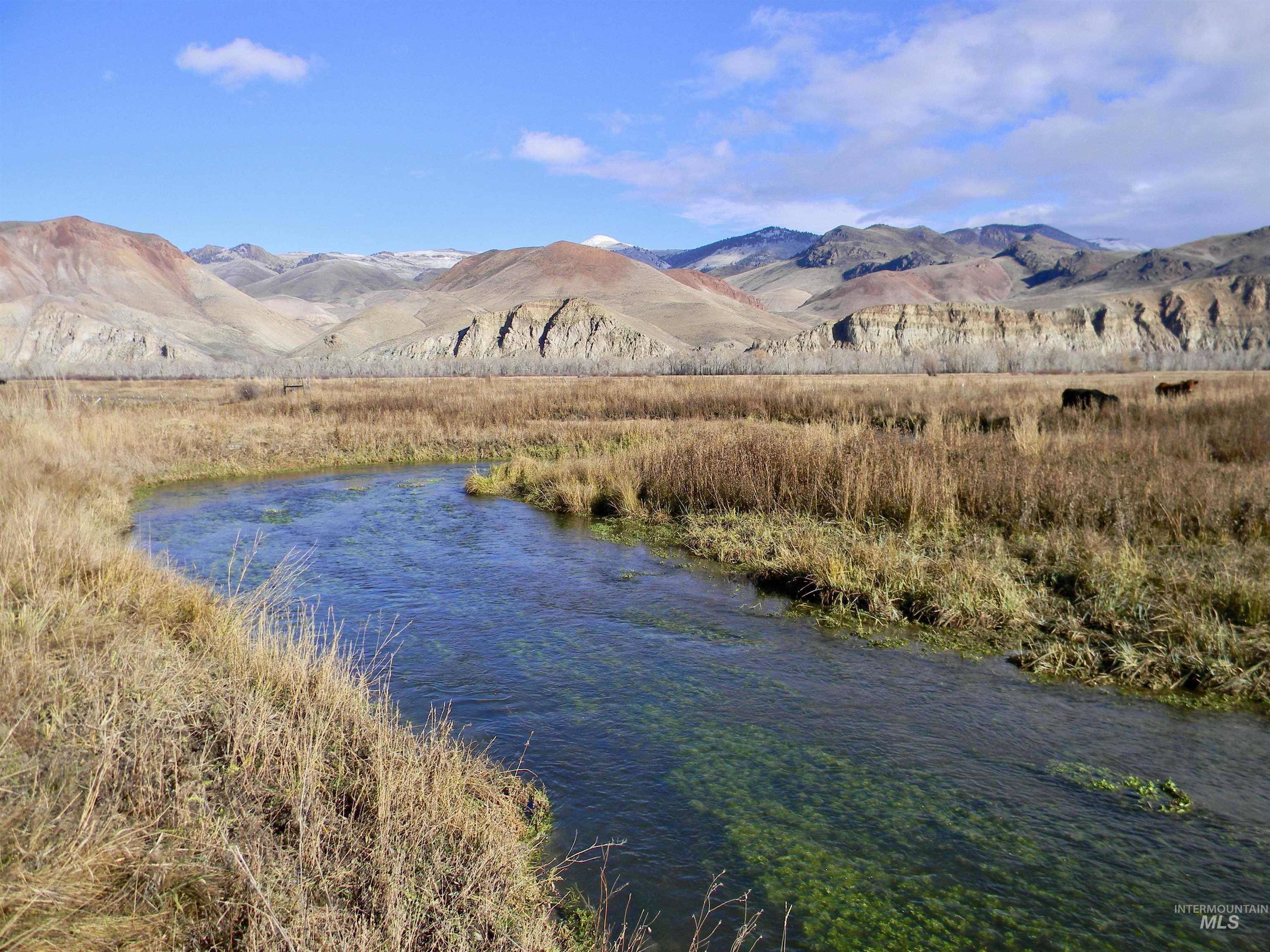 24950 Highway 93 Challis, ID 83226 - Photo 2 of 15 Mountain view with a large body of water