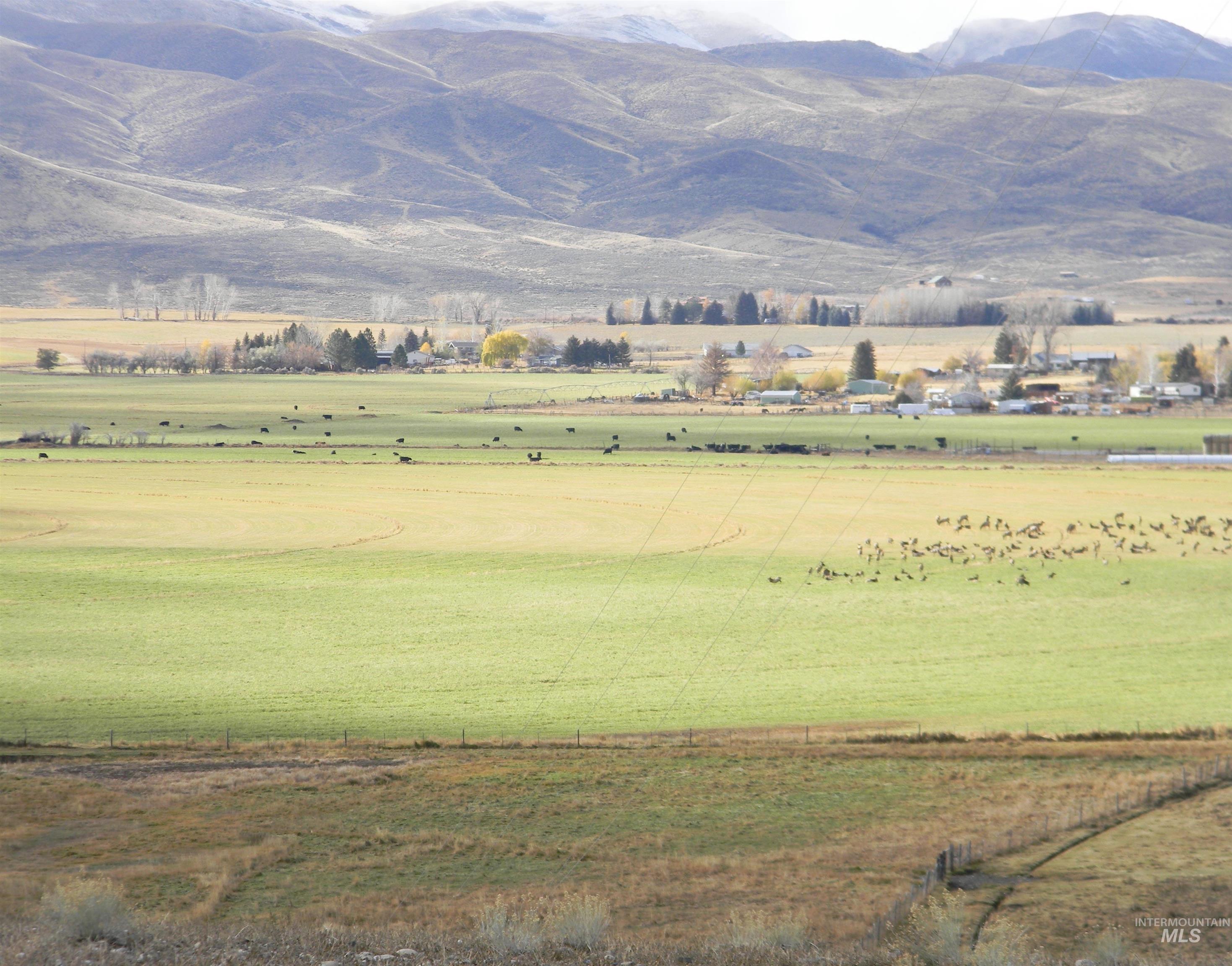 24950 Highway 93 Challis, ID 83226 - Photo 3 of 15 View of mountain backdrop with rural landscape