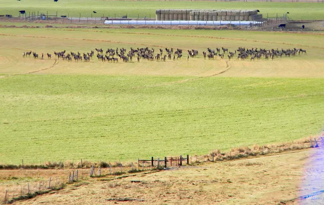 $12,950,000 | 24950 Highway 93, Challis, ID 83226