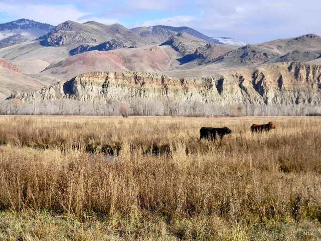 $12,950,000 | 24950 Highway 93, Challis, ID 83226