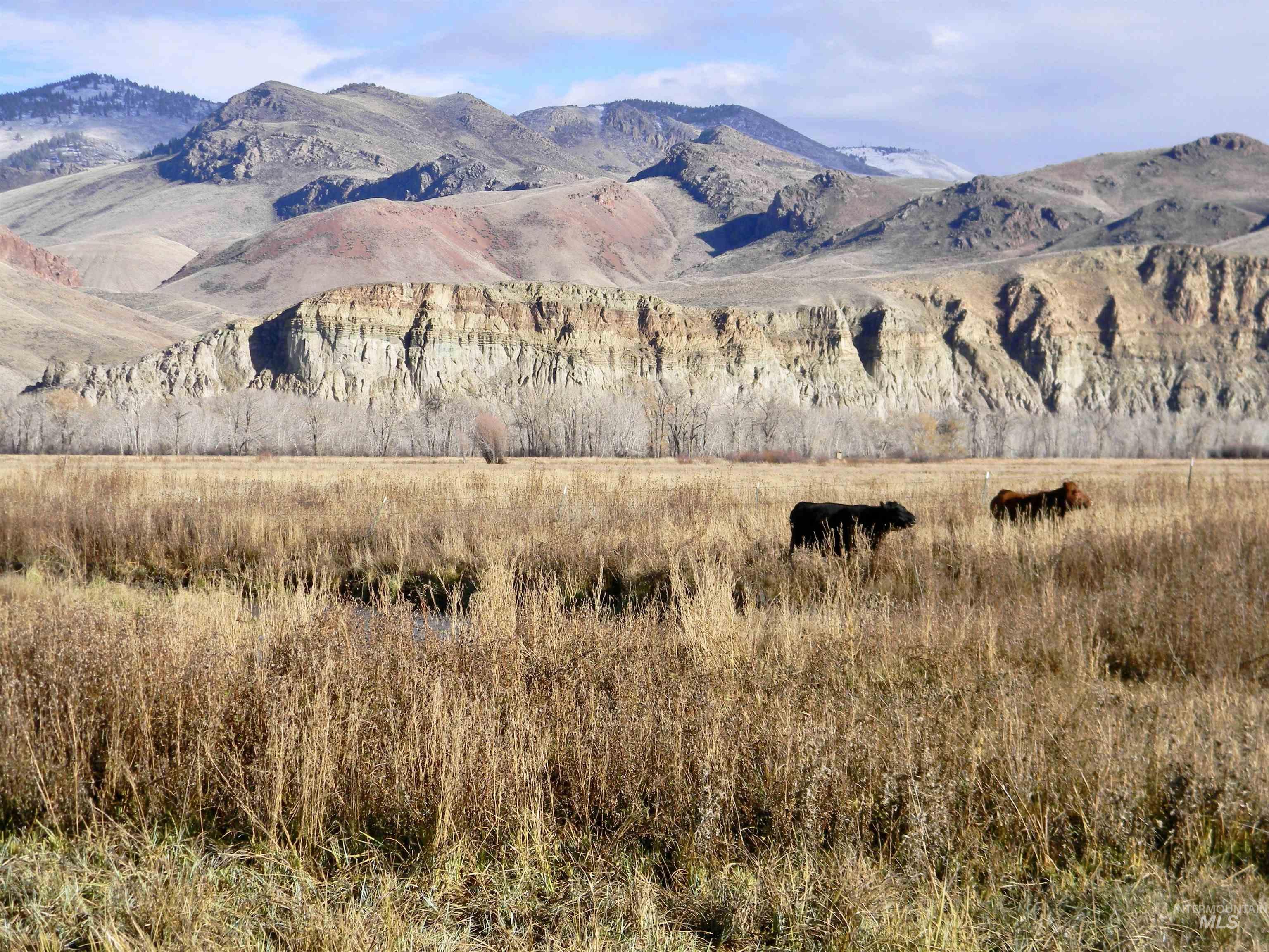 24950 Highway 93 Challis, ID 83226 - Photo 6 of 15 Mountain view