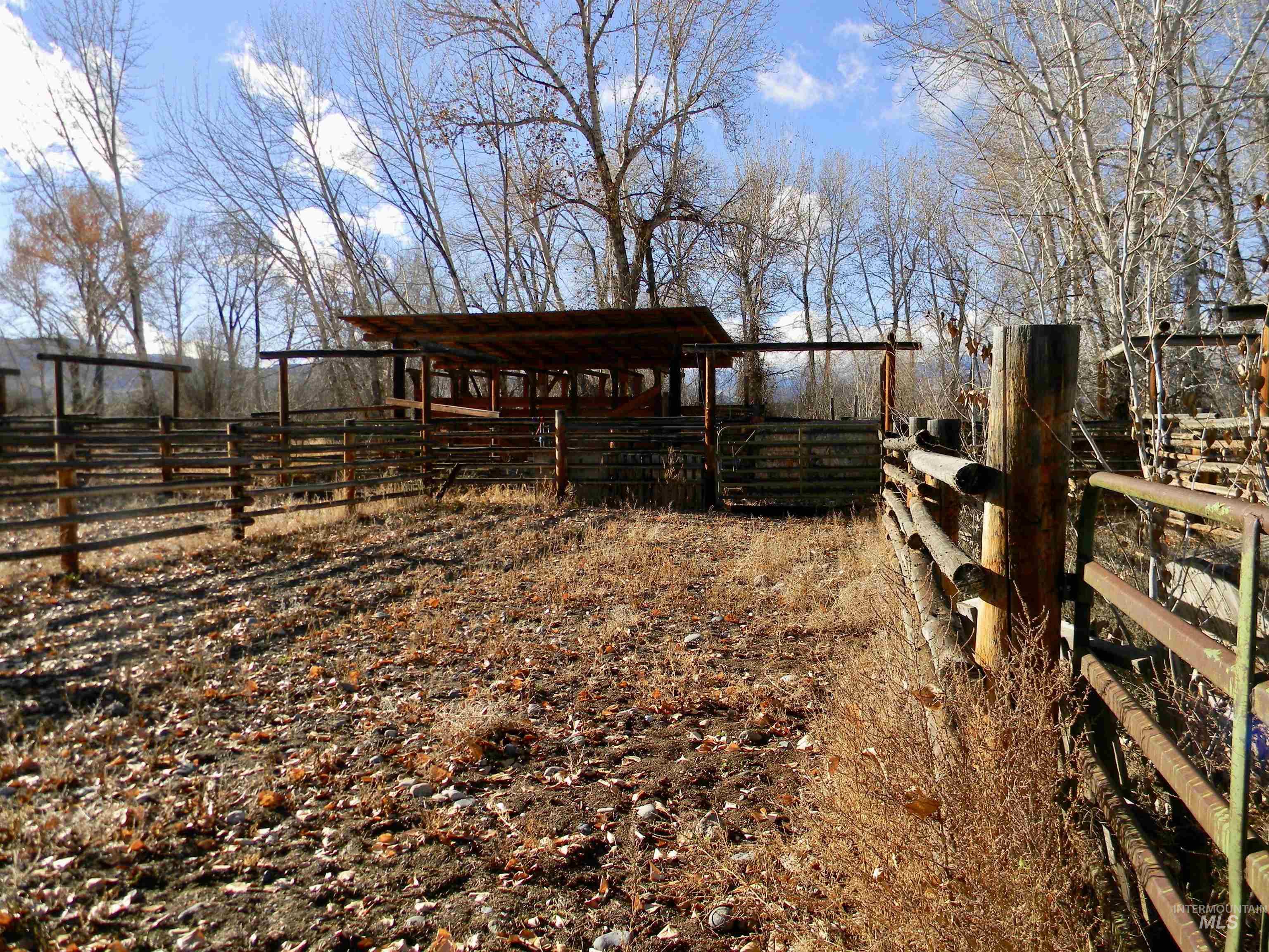 24950 Highway 93 Challis, ID 83226 - Photo 7 of 15 View of yard featuring an outdoor structure