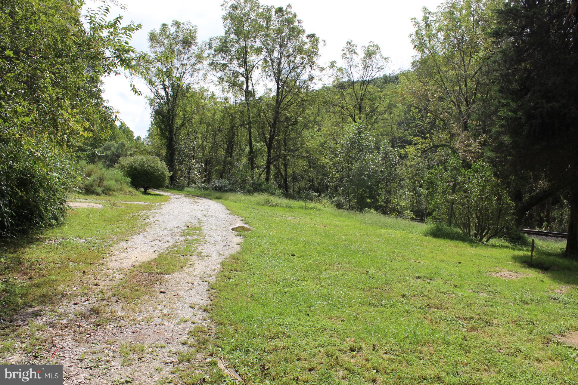 1556 Tank Road Finksburg, MD 21048 - Photo 5 of 12 a view of a yard with a tree