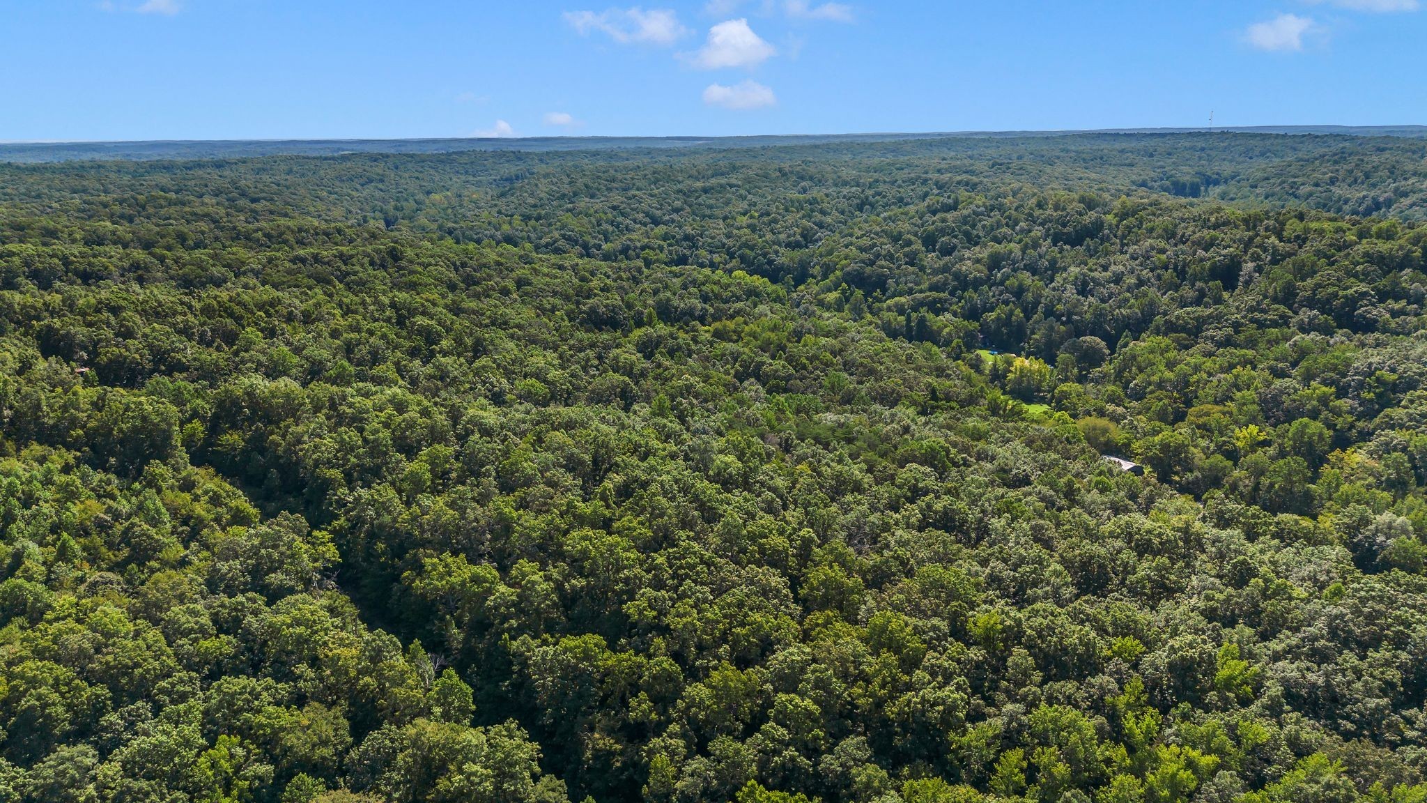 1369 Tanner Hollow Road Centerville, TN 37033 - Photo 11 of 17 an aerial view of a houses with a yard