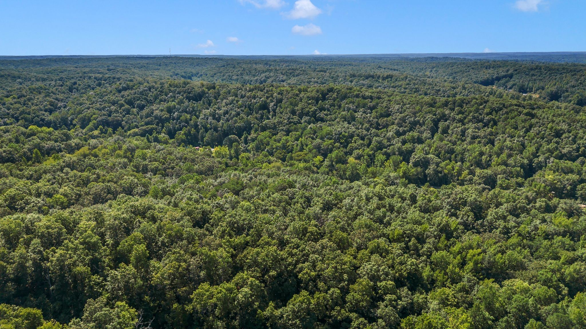 1369 Tanner Hollow Road Centerville, TN 37033 - Photo 12 of 17 an aerial view of a houses with a yard