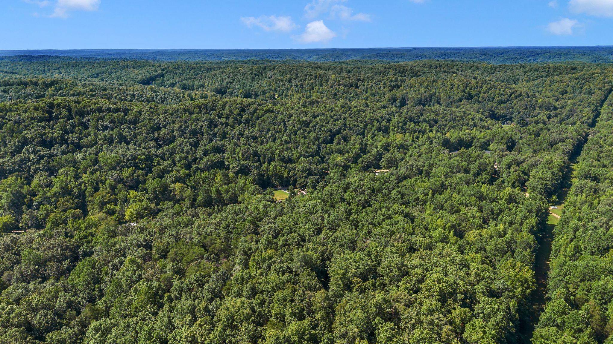 1369 Tanner Hollow Road Centerville, TN 37033 - Photo 13 of 17 a view of a yard with a street