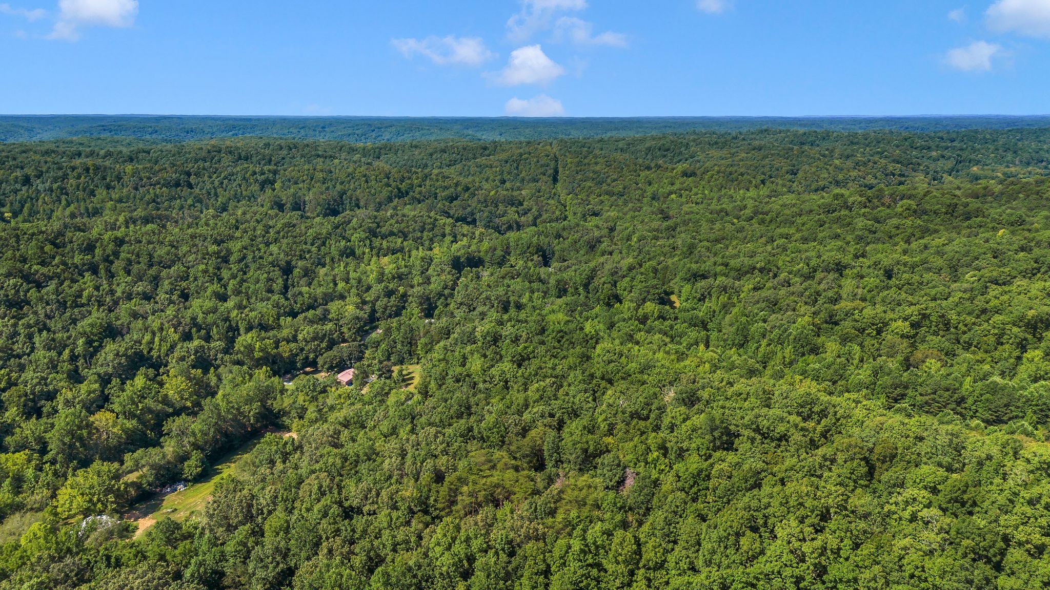 1369 Tanner Hollow Road Centerville, TN 37033 - Photo 14 of 17