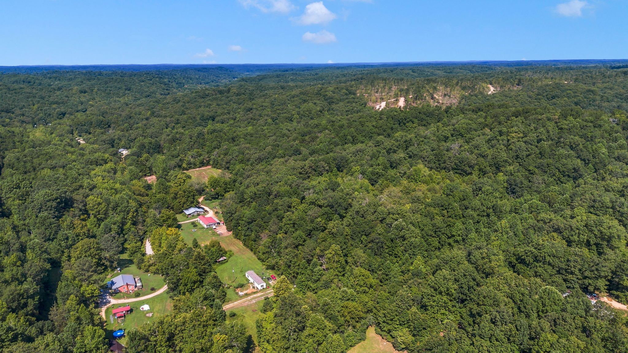 1369 Tanner Hollow Road Centerville, TN 37033 - Photo 15 of 17 a view of a flower in a yard