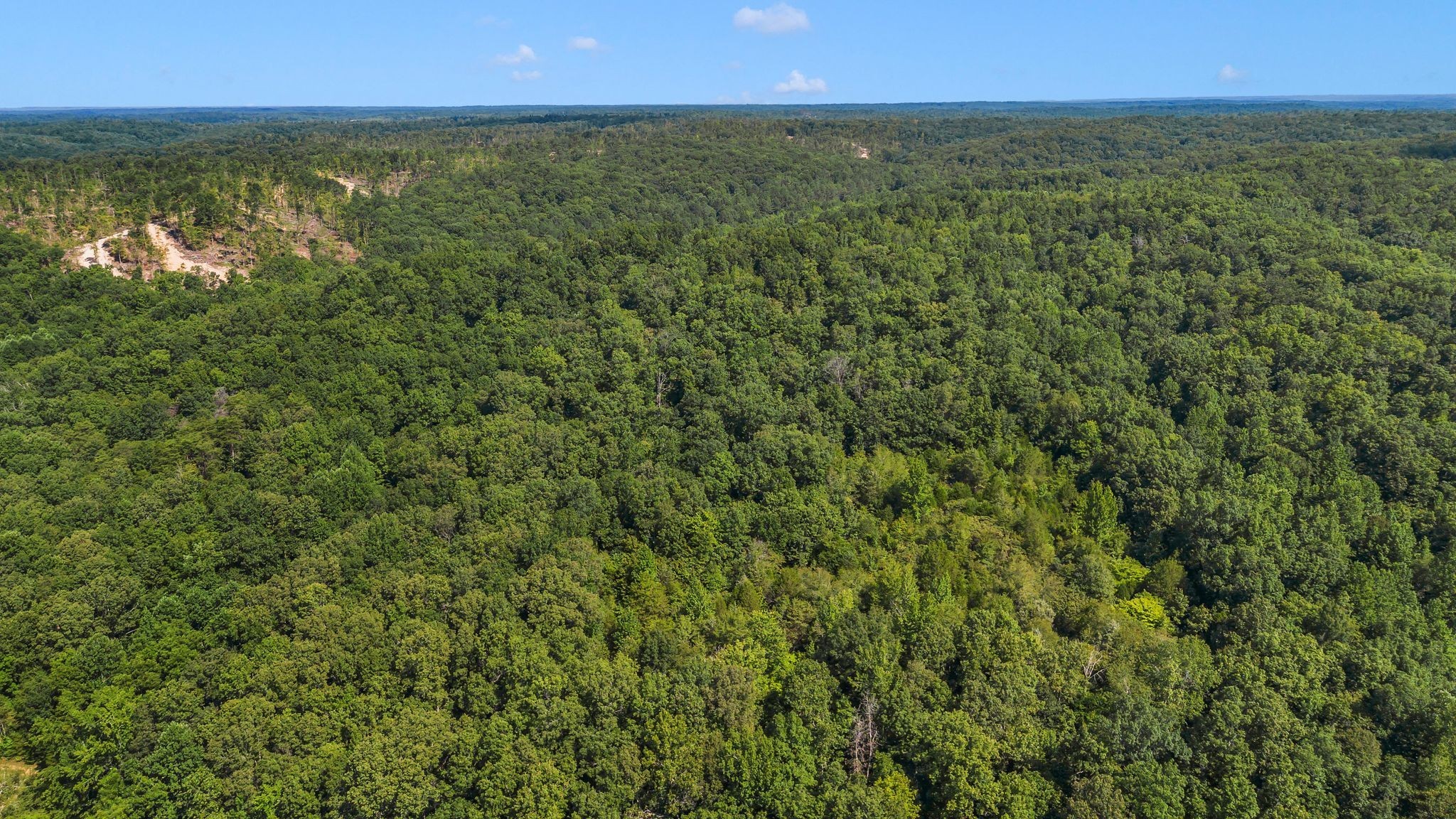 1369 Tanner Hollow Road Centerville, TN 37033 - Photo 16 of 17