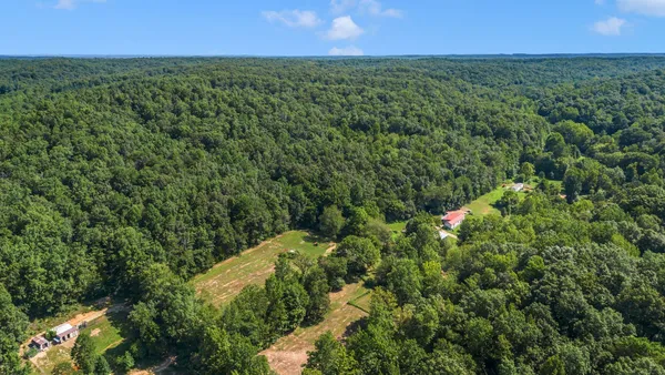 a view of a lush green forest with lots of trees