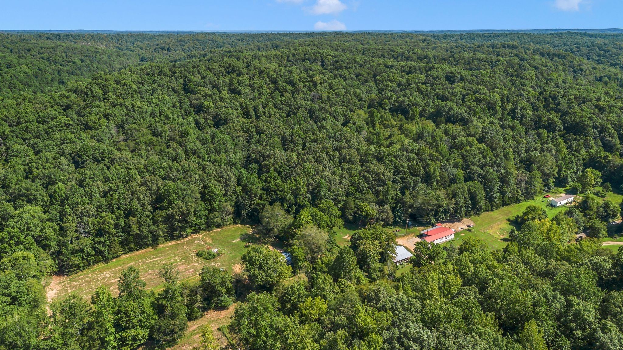 1369 Tanner Hollow Road Centerville, TN 37033 - Photo 3 of 17 a view of a lush green forest with lots of trees