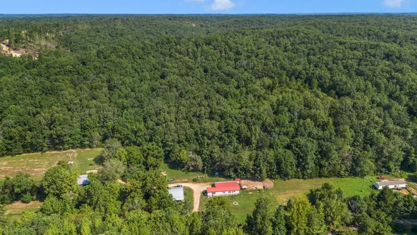 a view of a yard with an outdoor space