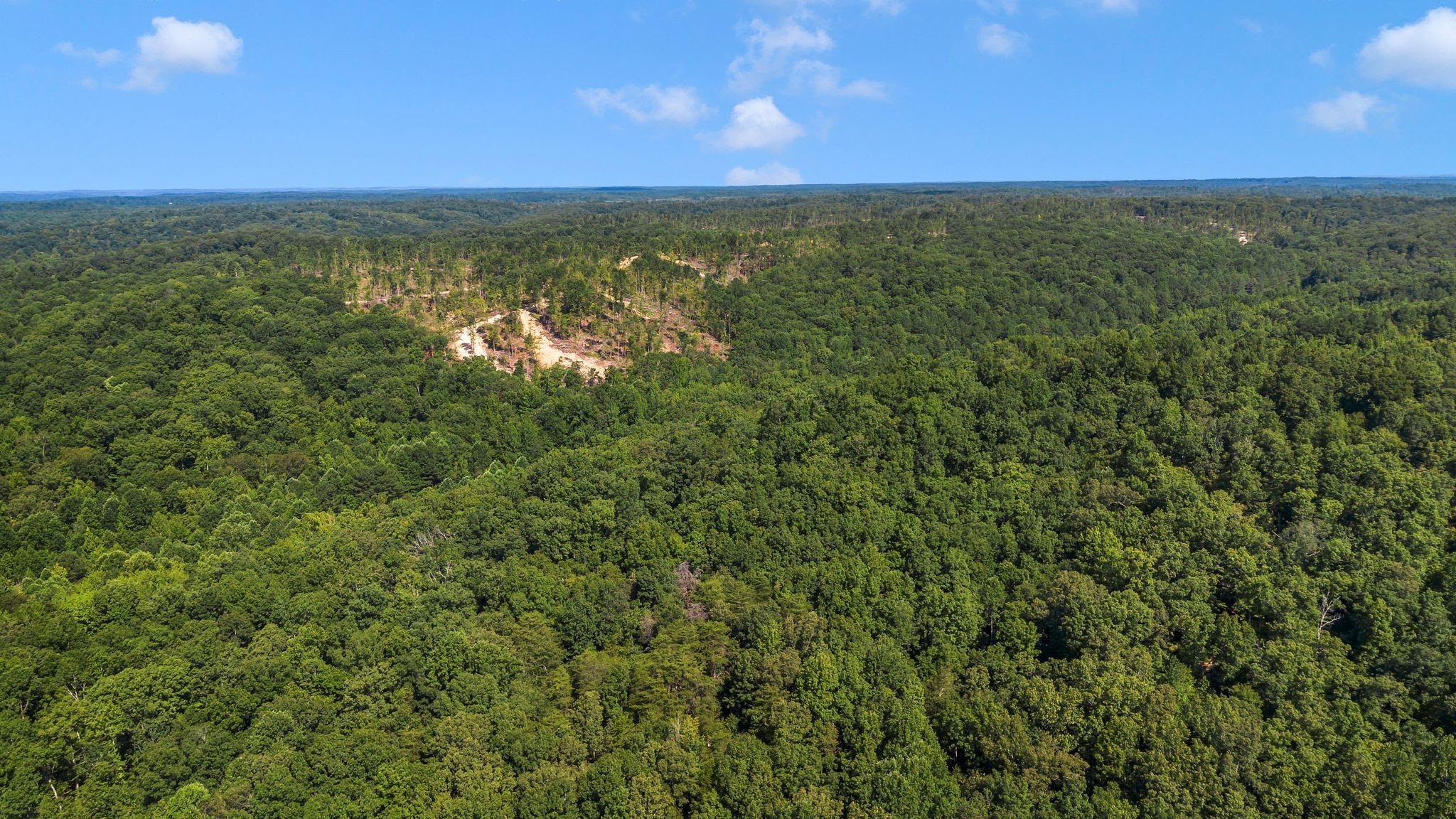 1369 Tanner Hollow Road Centerville, TN 37033 - Photo 8 of 17 a view of a city