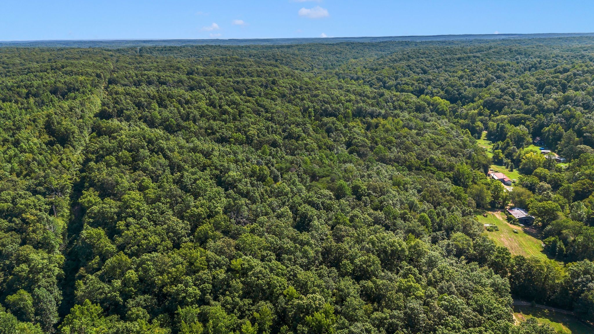 1369 Tanner Hollow Road Centerville, TN 37033 - Photo 10 of 17 a view of a lush green outdoor space with a lake view and mountain view
