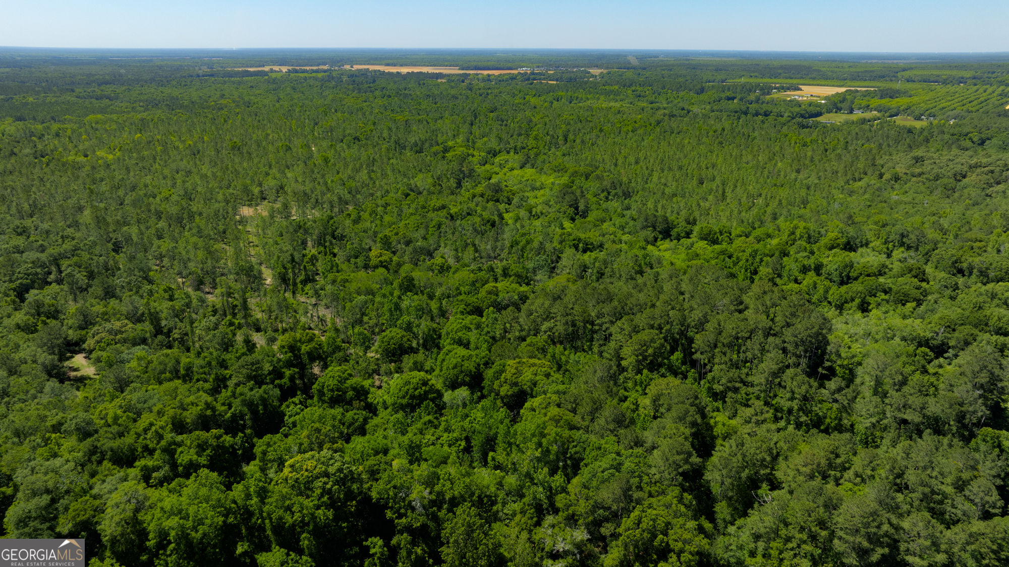 0 Robinson Road Baconton, GA 31716 - Photo 11 of 47 a view of a lush green space with sea