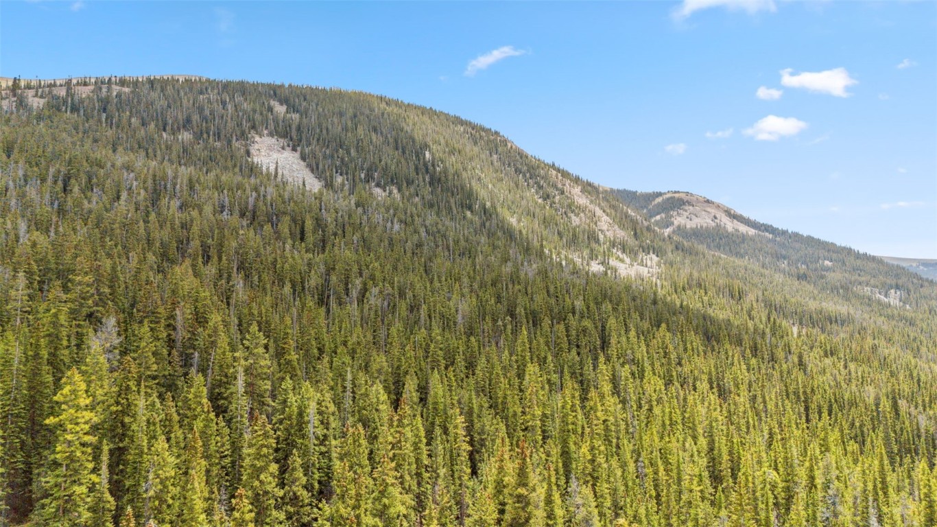 Tbd Tbd Fredonia Gulch Road Breckenridge, CO 80424 - Photo 14 of 24 a view of a forest
