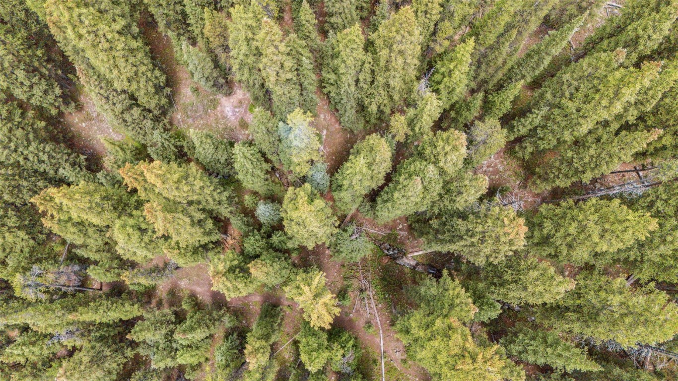 Tbd Tbd Fredonia Gulch Road Breckenridge, CO 80424 - Photo 15 of 24 a view of a yard
