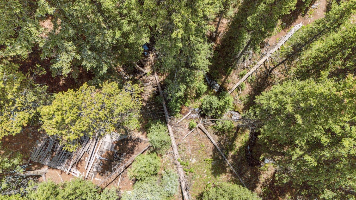 Tbd Tbd Fredonia Gulch Road Breckenridge, CO 80424 - Photo 16 of 24 a picture of tree