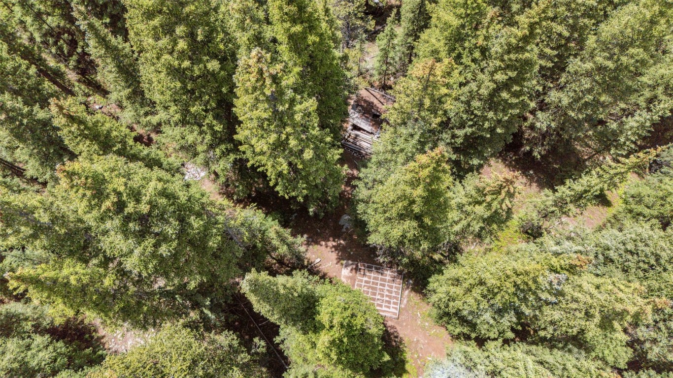 Tbd Tbd Fredonia Gulch Road Breckenridge, CO 80424 - Photo 17 of 24 a view of a plants and yard