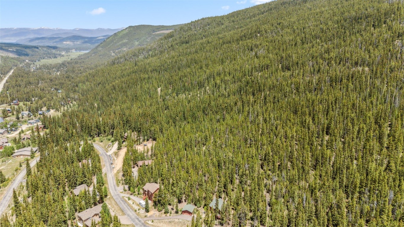 Tbd Tbd Fredonia Gulch Road Breckenridge, CO 80424 - Photo 20 of 24 a view of a yard with a tree