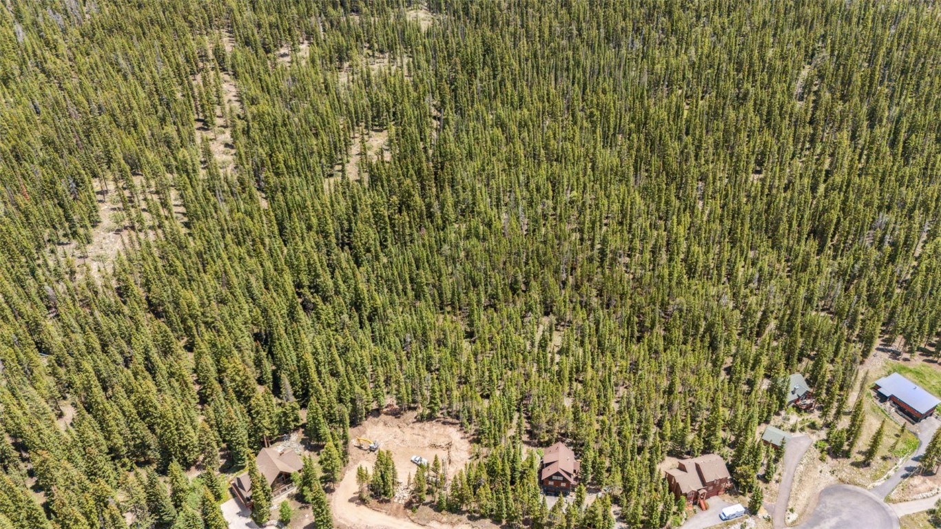 Tbd Tbd Fredonia Gulch Road Breckenridge, CO 80424 - Photo 2 of 24 a view of a yard
