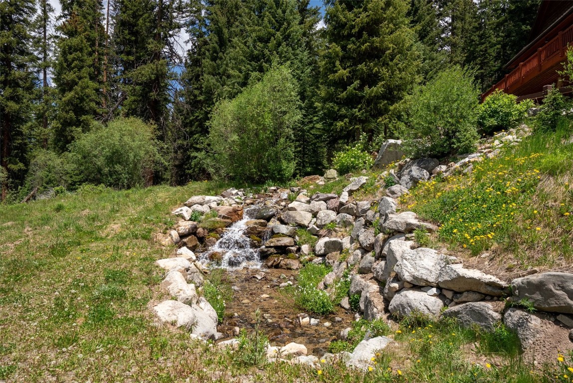 Tbd Tbd Fredonia Gulch Road Breckenridge, CO 80424 - Photo 7 of 24 a view of a yard with a tree