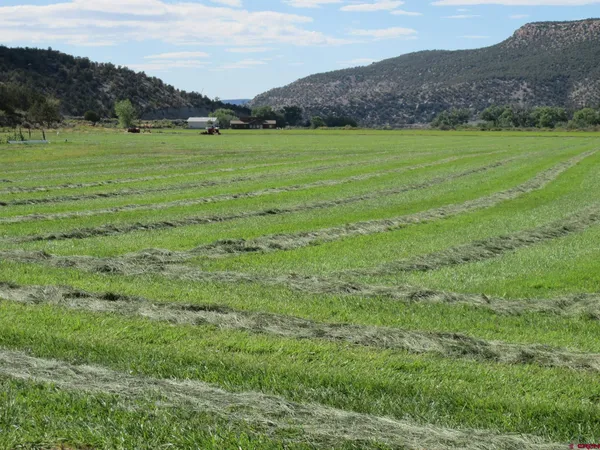 a view of an outdoor space and a yard