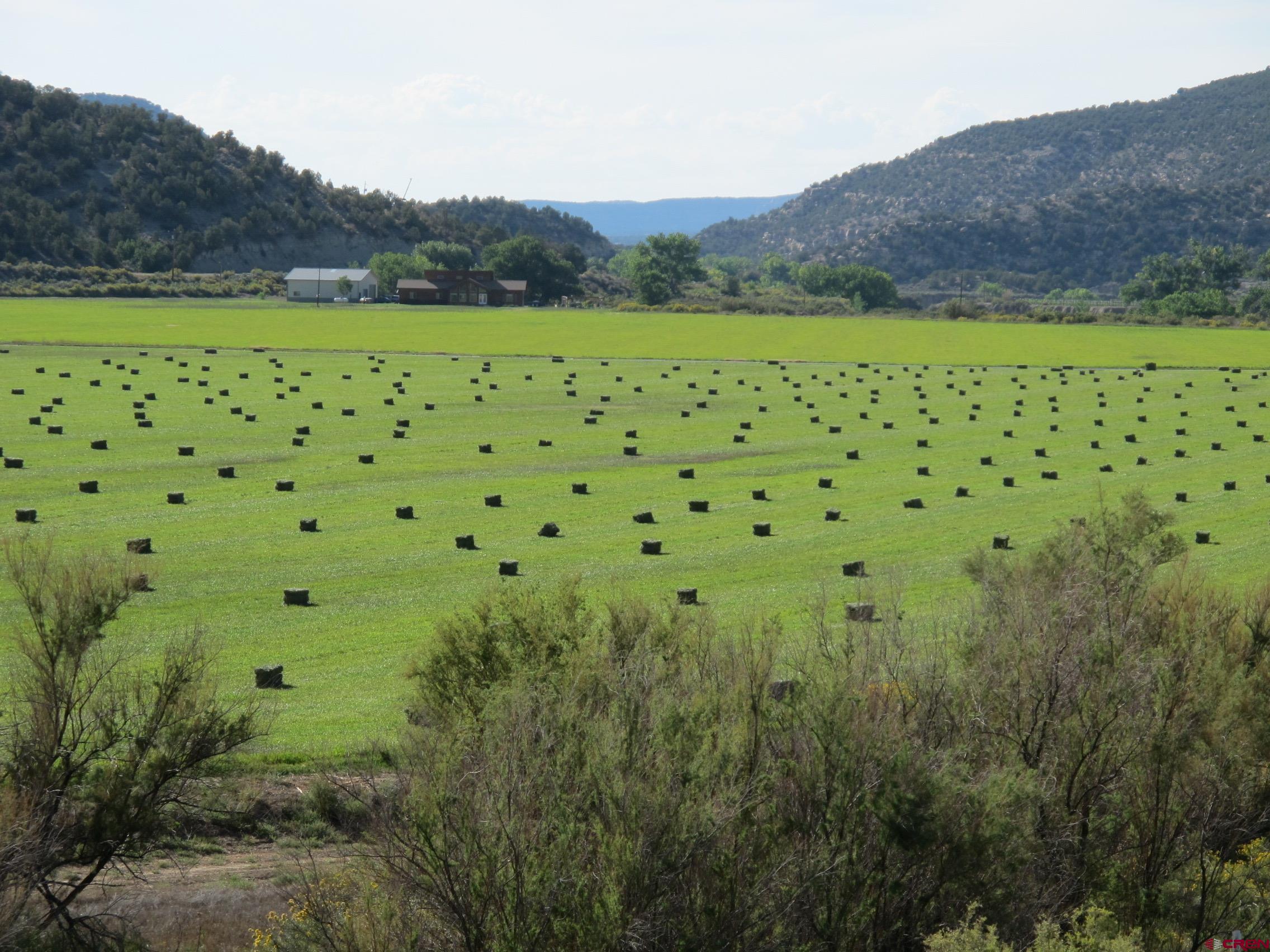 Tbd Lot 1 Road G Cortez, CO 81321 - Photo 2 of 6 a view of a large building with a lush green forest