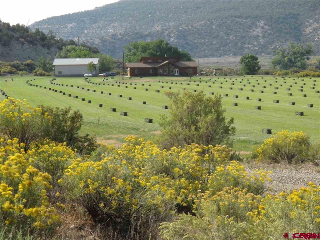 Tbd Lot 1 Road G Cortez, CO 81321 - Photo 6 of 6 a view of a garden with plants