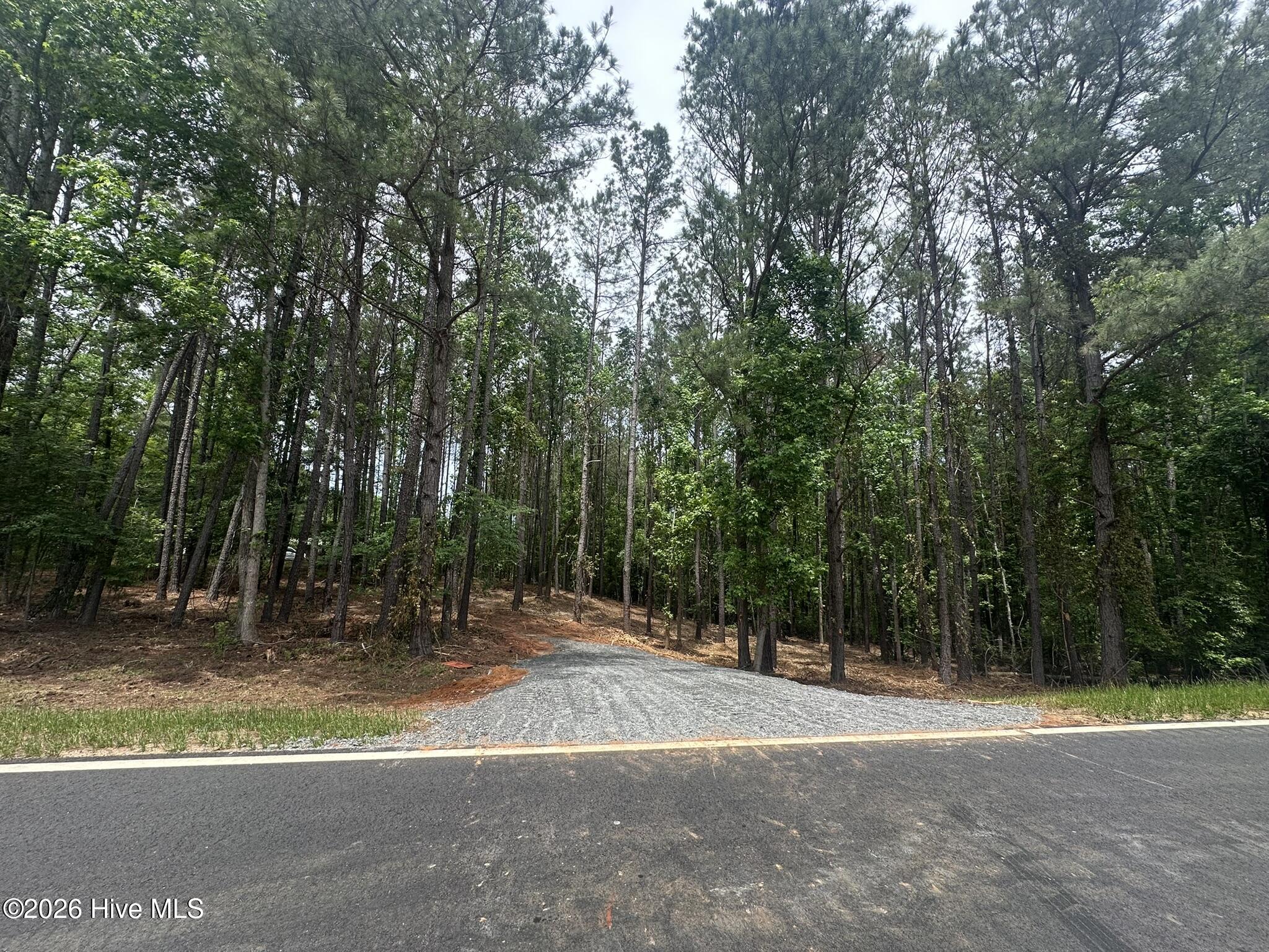 Lot E Ridge Road Appling, GA 30802 - Photo 1 of 23 Road Frontage