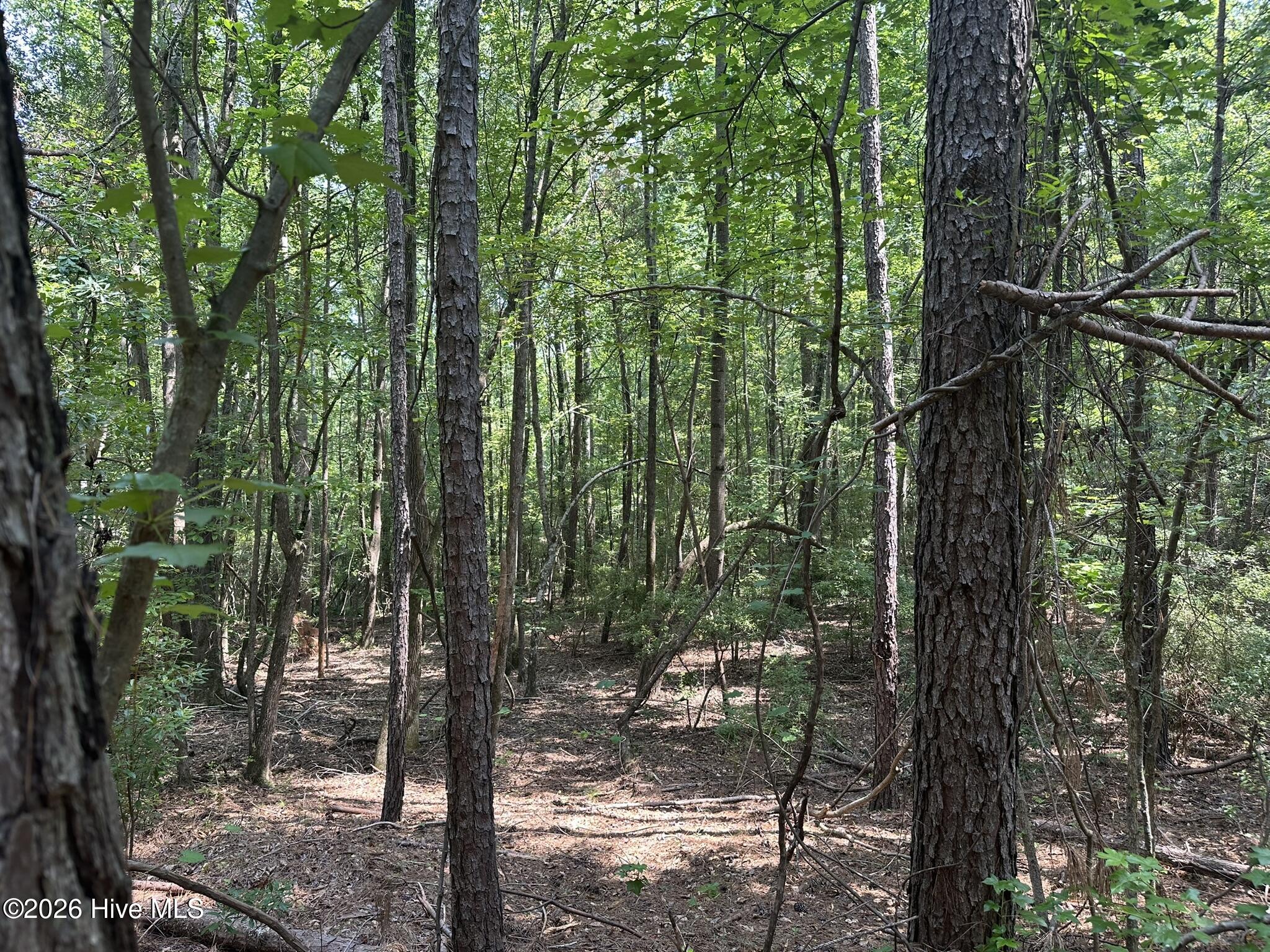 Lot E Ridge Road Appling, GA 30802 - Photo 11 of 23 IMG_0466
