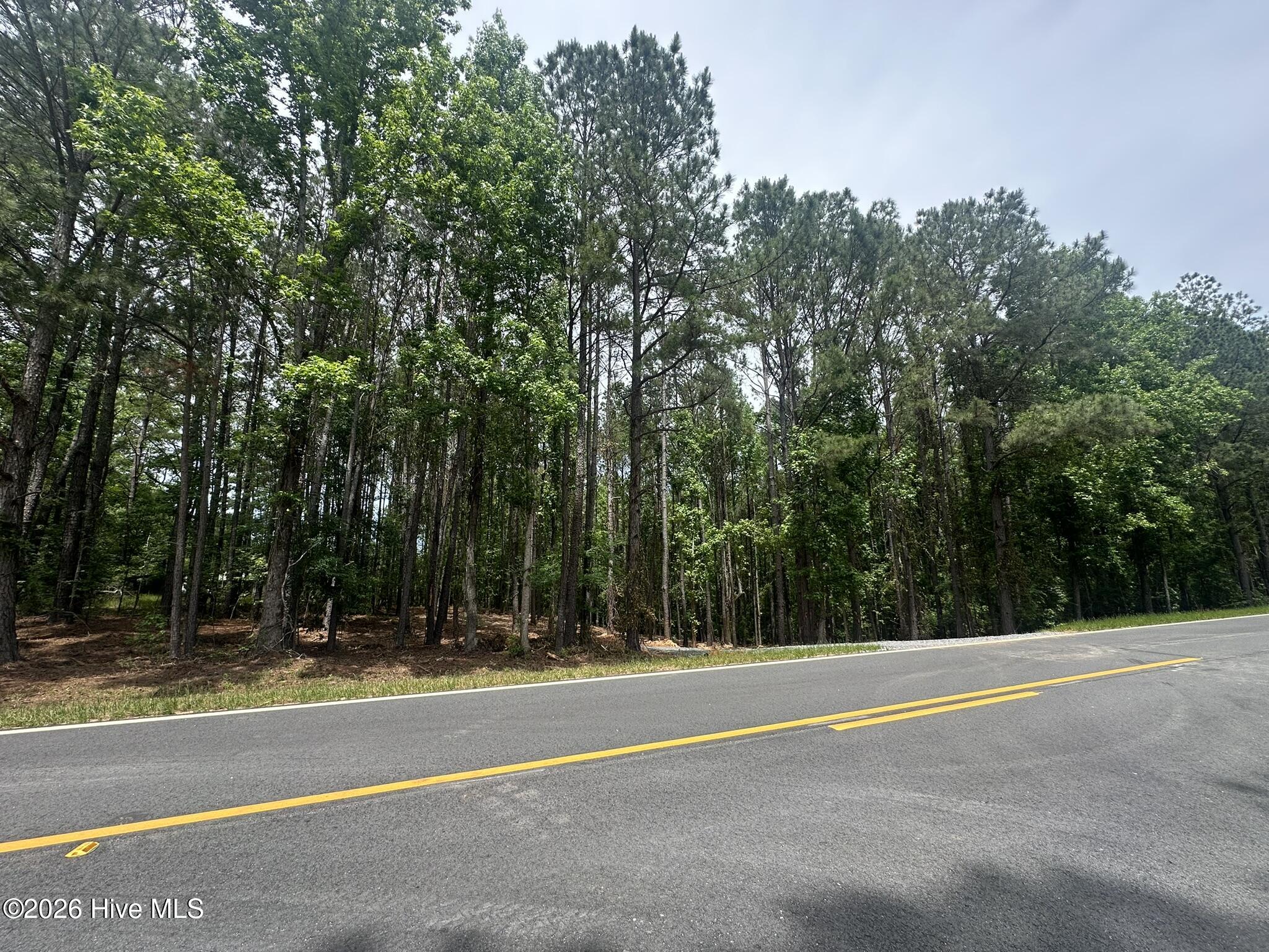 Lot E Ridge Road Appling, GA 30802 - Photo 2 of 23 IMG_2277