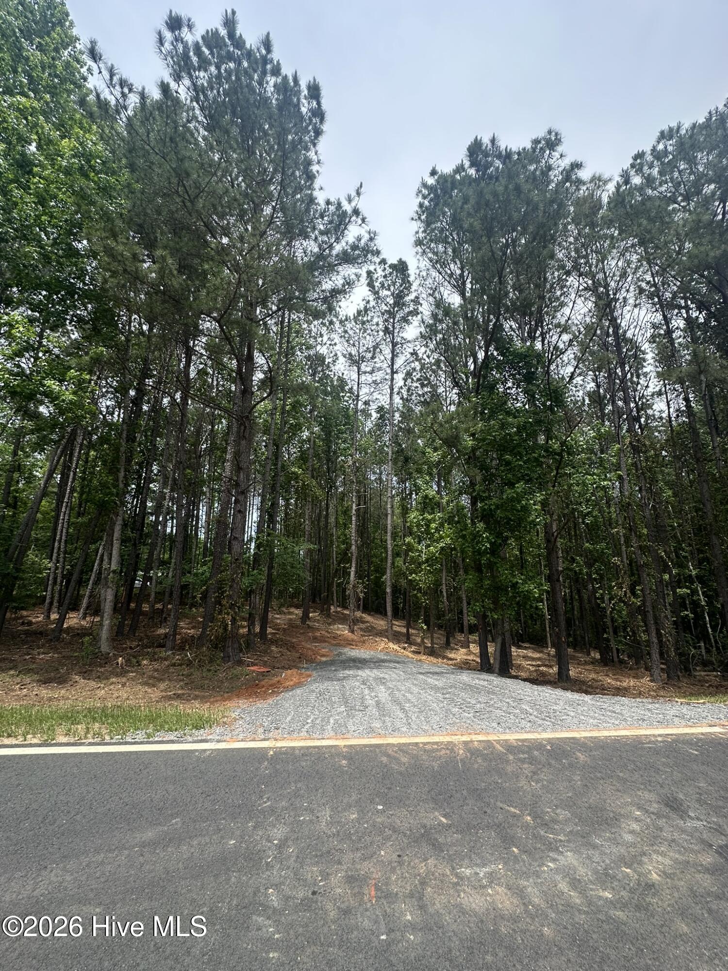 Lot E Ridge Road Appling, GA 30802 - Photo 4 of 23 IMG_2279
