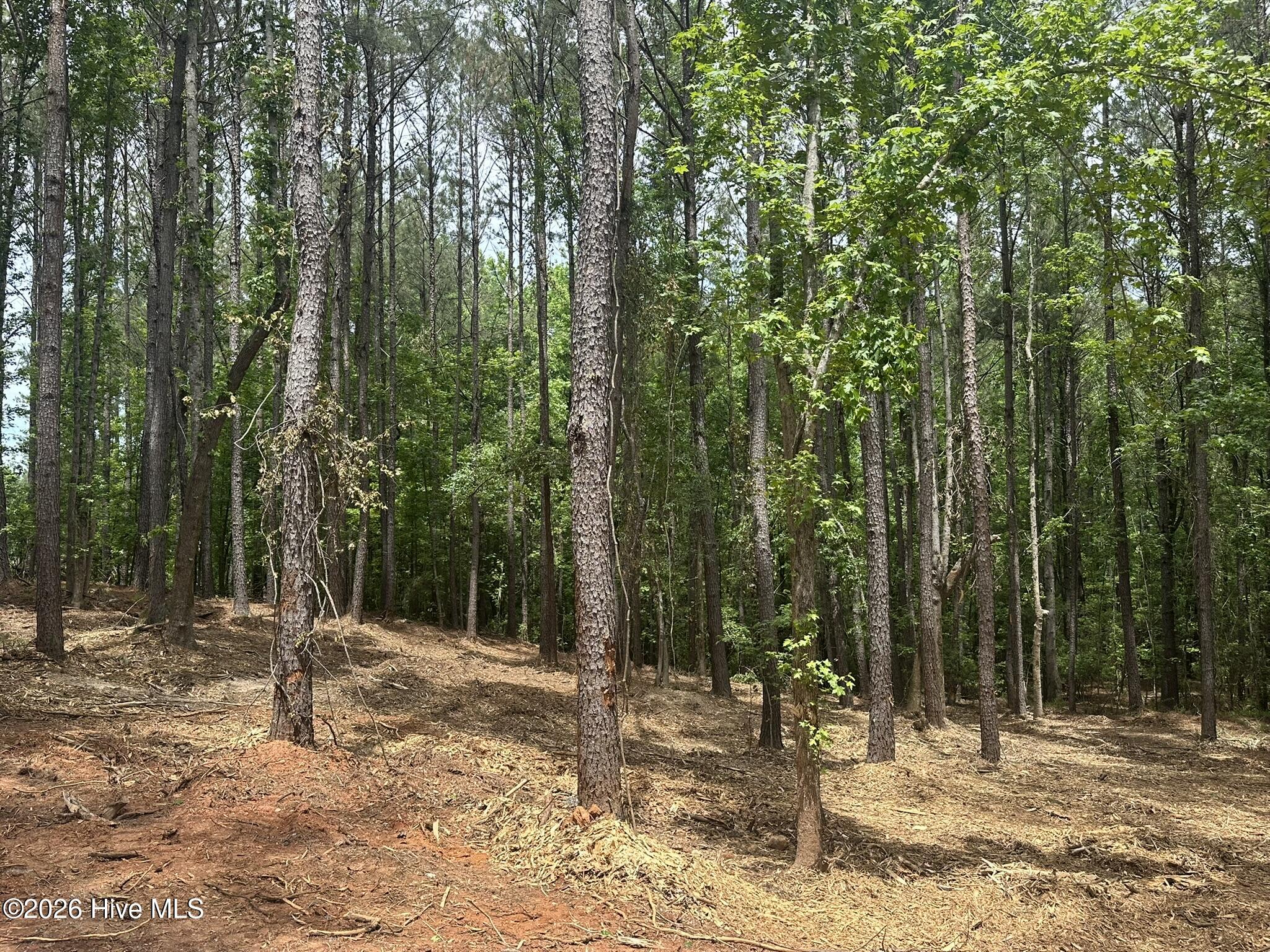 Lot E Ridge Road Appling, GA 30802 - Photo 6 of 23 IMG_2282