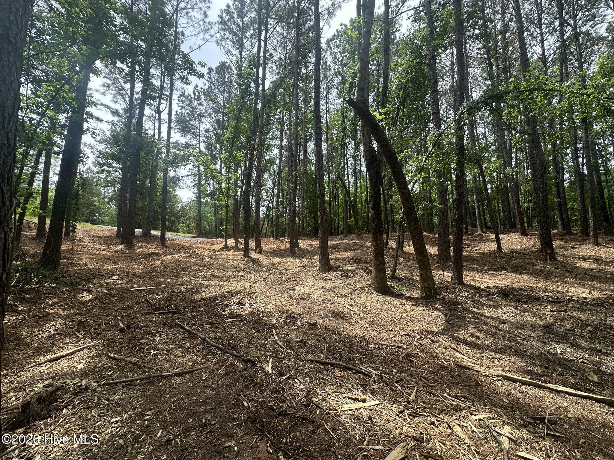 Lot E Ridge Road Appling, GA 30802 - Photo 10 of 23 IMG_2286